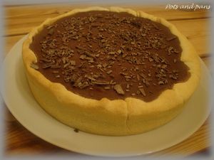 cheesecake ovomaltine10