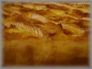 tarte pdt poulet camembert9