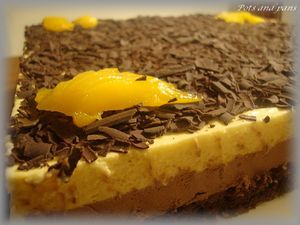 entremets choco mangue23