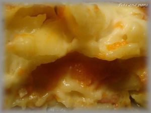 gratin penne courge11