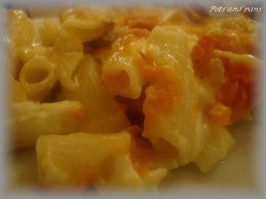 gratin penne courge14