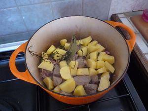 P1040508.JPG