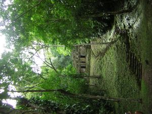 DSCN5926.JPG
