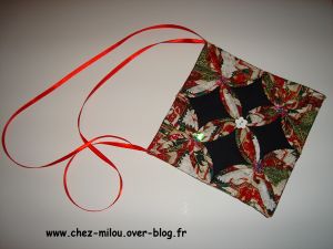 sac Domi01