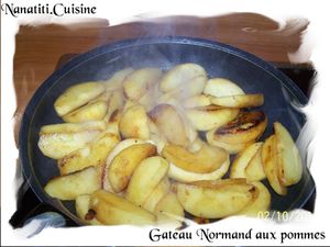 Gateau Normand aux pommes