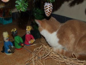 dec.09-395.jpg