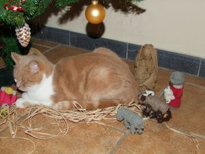 dec.09-398.jpg
