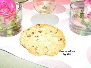 cookies-choclat-et-zestes-oranges-confits.jpg