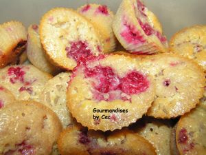 cup-cake-framboise.jpg