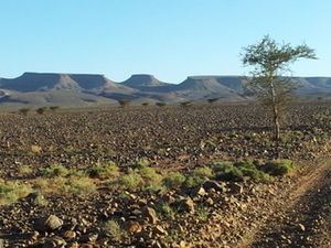 20120502_175239.jpg