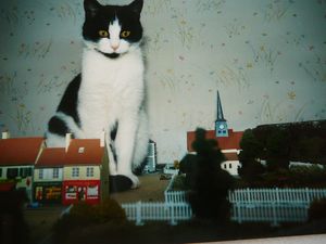 Photo 035-copie-1