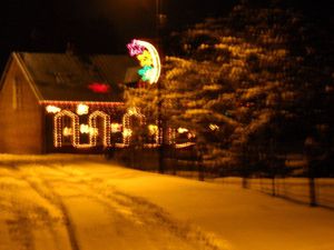 DSCN0395.jpg