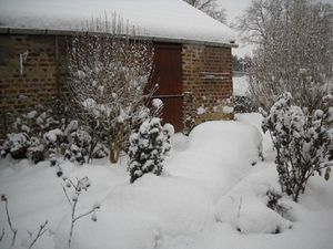 DSCN0398.jpg