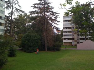 septembre 2011 018