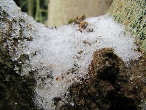 restes de neige1
