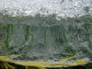 Glace6