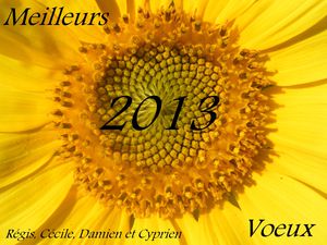 Meilleurs-voeux-2013-TOURNESOL.jpg