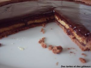 choco- pampl 7 GF
