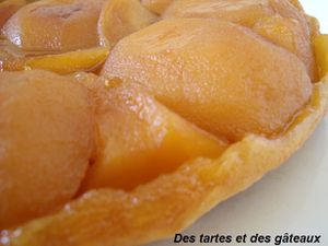 tatin 5 GF