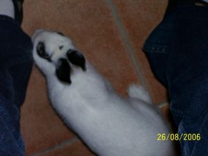 100_0010.JPG
