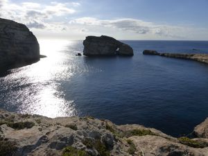 malte fungus rock