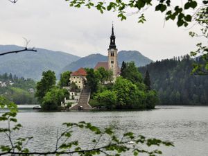 Slovénie- Lac de Bled