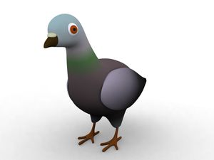 pigeon test