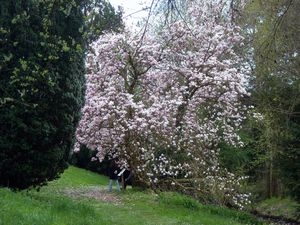 DSCN0963.JPG