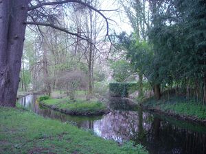 DSCN0974.JPG