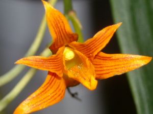 RSCN6863.JPG