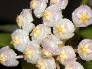 RSCN4709.JPG