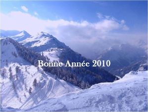Voeux 2010
