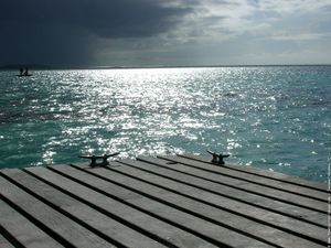 photo-polynesie-photo-ponton-ponton-03.jpg