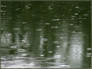 pluie.jpg
