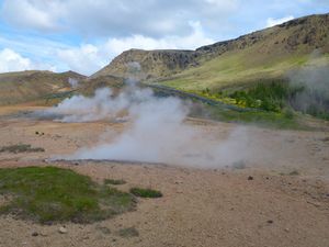18-hver-ZG-Reykjamóri