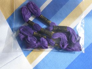 Echevettes-violettes.JPG