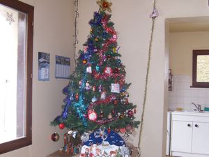 S7301308.JPG