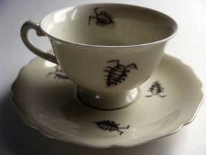 Des-parasites-5.jpg