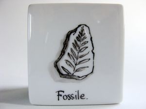 Fossile.jpg