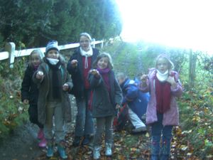 BILD1740.jpg