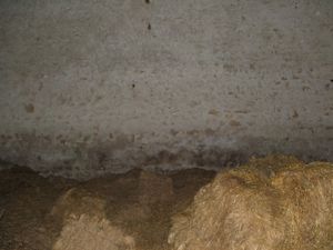 DSCF5748.JPG