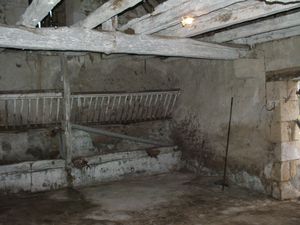 DSCF7554.JPG