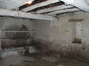 DSCF7556.JPG