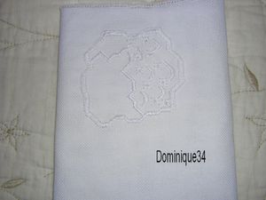 dominique34-copie-3.jpg