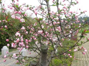 IMG_0053.JPG