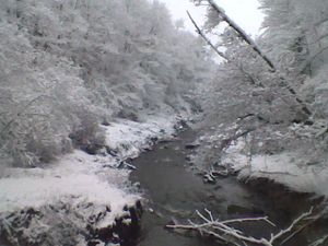 Photo019