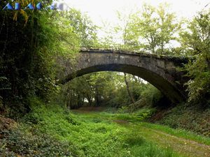 P1260141-Courbat-pont.jpg