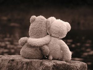 calin.jpg