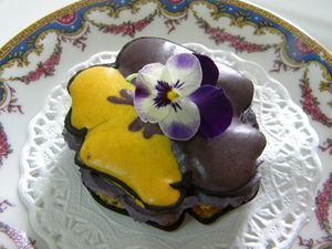 macaron-a-la-violette-4.jpg