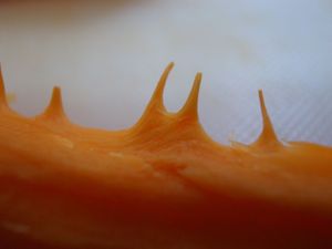 R0010820